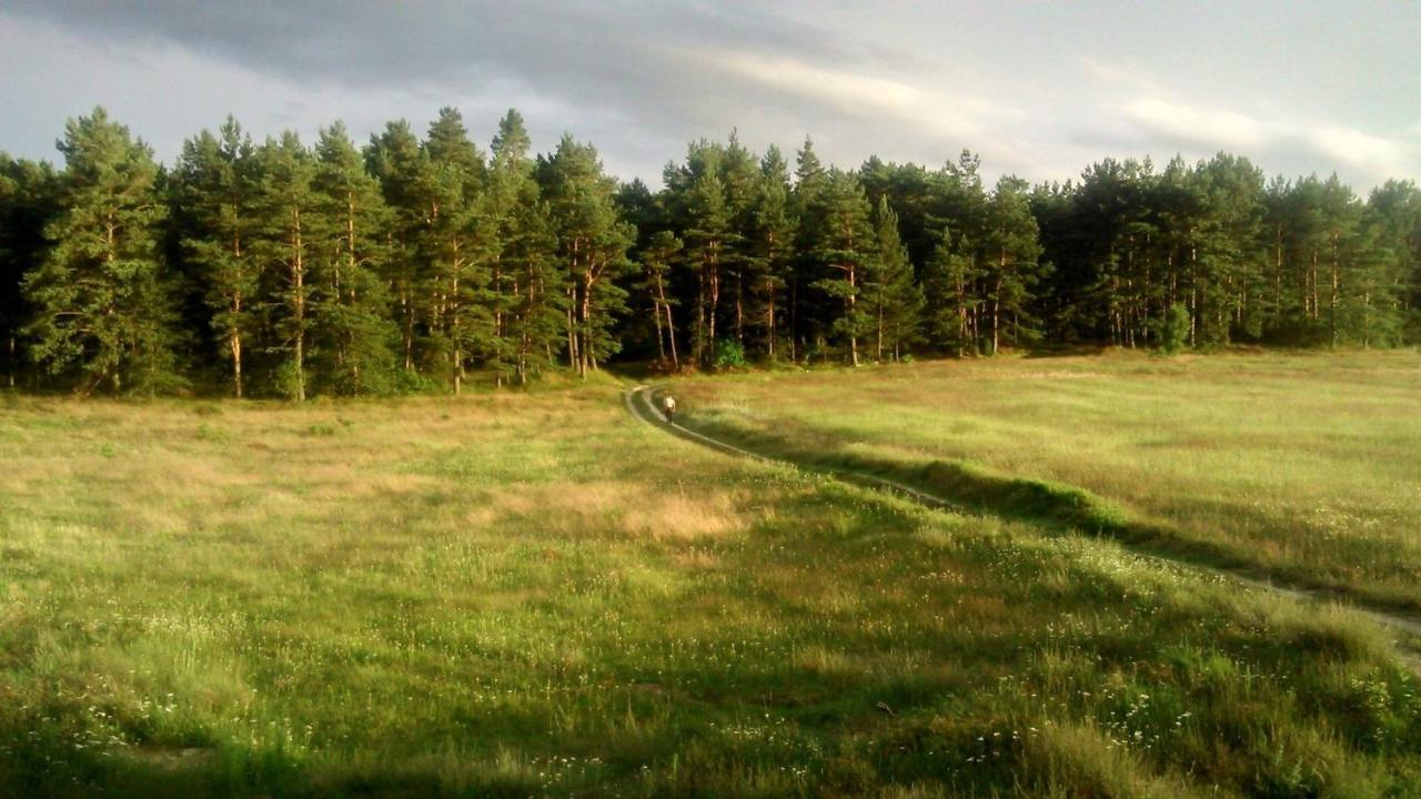Pokoje Gościnne Weronika Ostrowo  Zewnętrze zdjęcie